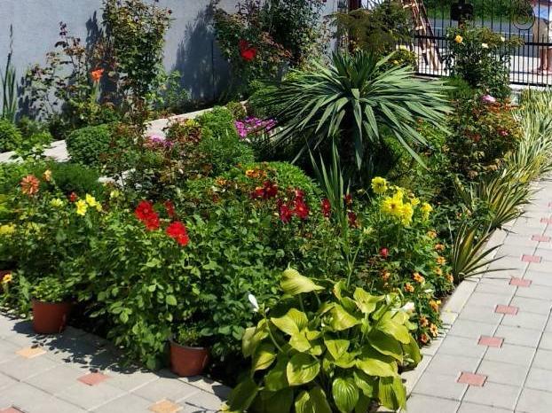 Vila Mila Riverside Apartments Smederevo Ngoại thất bức ảnh